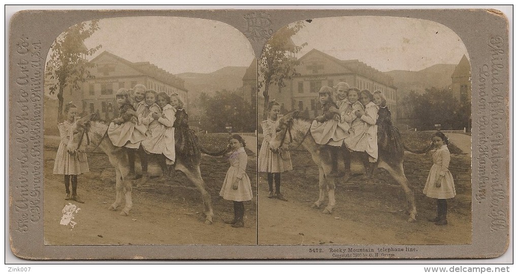 STEREOSCOPIC USA 1900´s - Colorado - Manitau - Rocky Mountain - Telephone Line Comic - Donkey And Childrens - Stereoscoopen