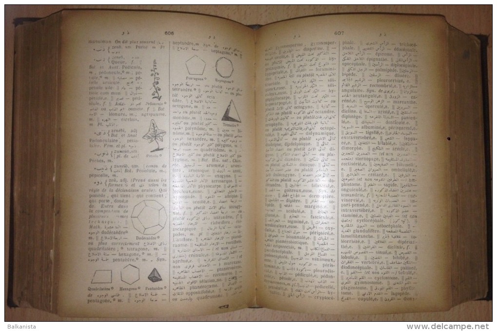 FRENCH - OTTOMAN DICTIONARY Dictionaire Français Turc 1911 Armenian Diran Kelekian - Dictionnaires