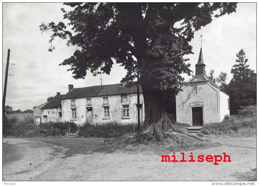 Pont-à-Celles - Chapelle Notre Dame De Grâce - Editeur: Maison ROCH , P-à-C     (4071) - Pont-à-Celles