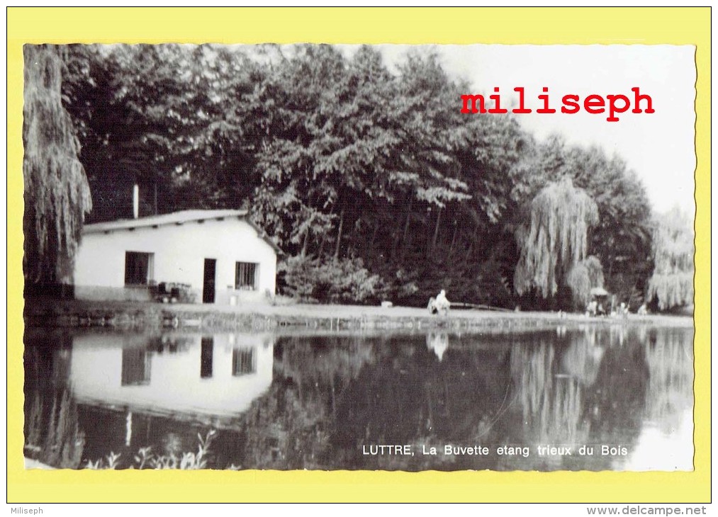 Pont-à-Celles - LUTTRE - La Buvette étang Trieux Du Bois - Editeur : LABARRE - SPRL LUTTE Fres, Genappe   (4073) - Pont-à-Celles