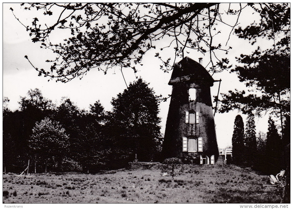 Grote Kaart Sint Pieters Lille Kempen Windmolen Oude Molen Windmill Mouin A Vent (In Zeer Goede Staat) - Lille