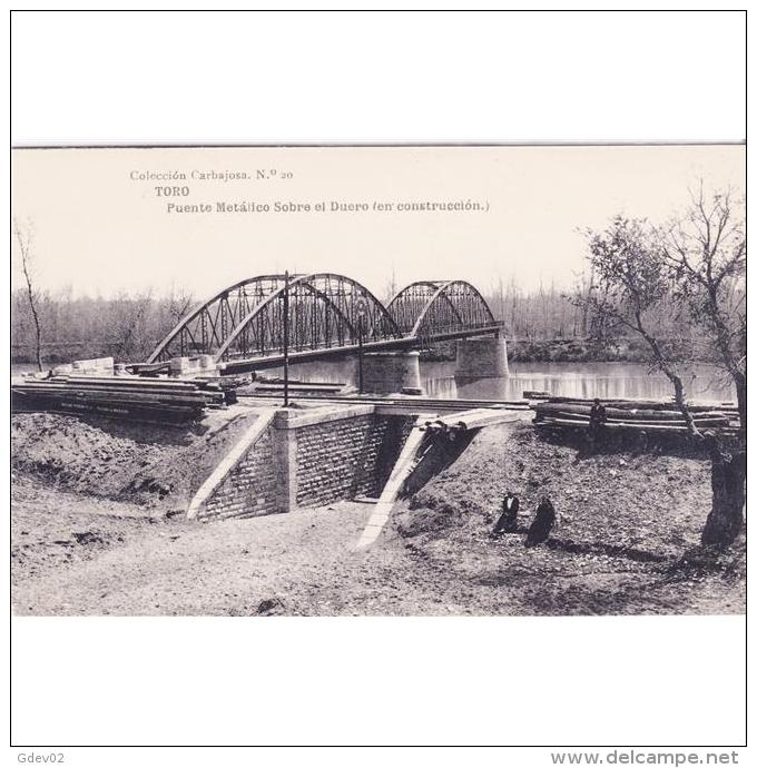 ZMRTPA4143J-LFTD5754.Tarjeta Postal De ZAMORA.Arboles,construccion Del PUENTE METALICO Sobre El RIO DUERO En TOROI - Zamora