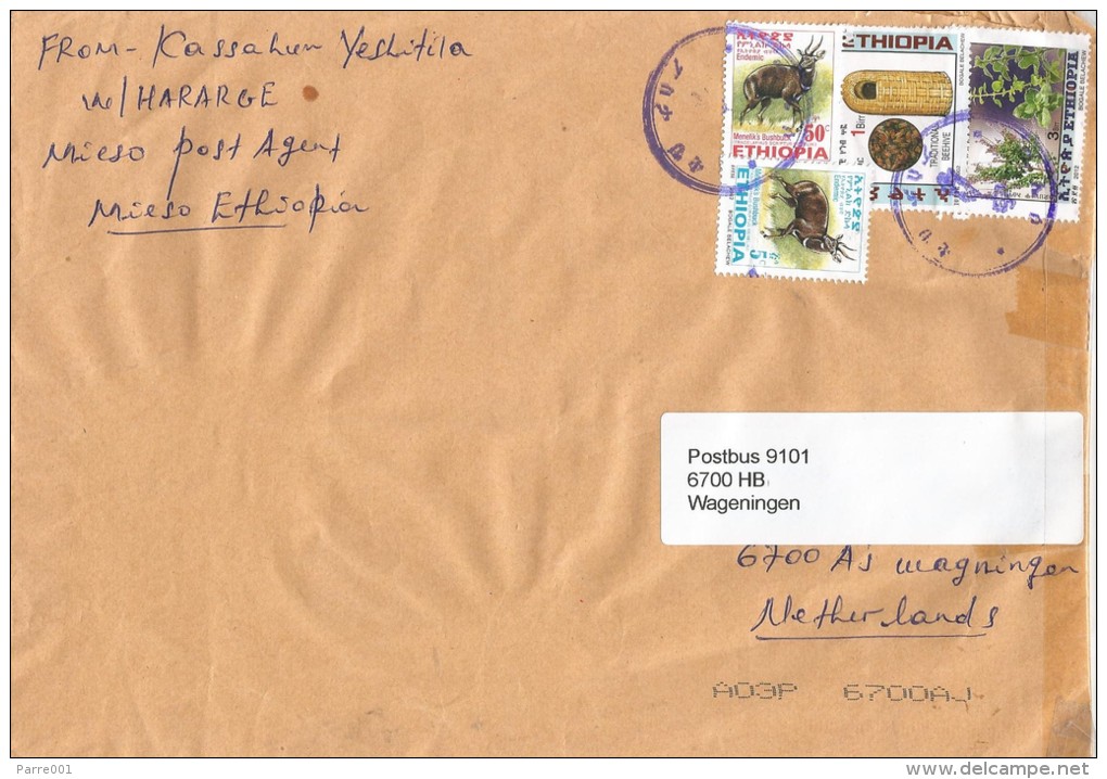 Ethiopia 2013 Mieso Postal Agent Beehive Honey Medicinal Plants Cover - Ethiopië