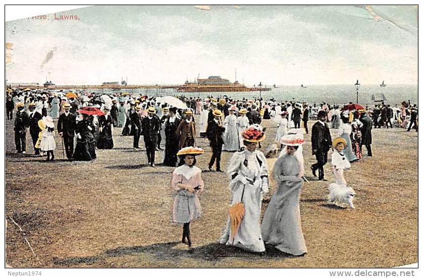 Hove, Lawns - Hove