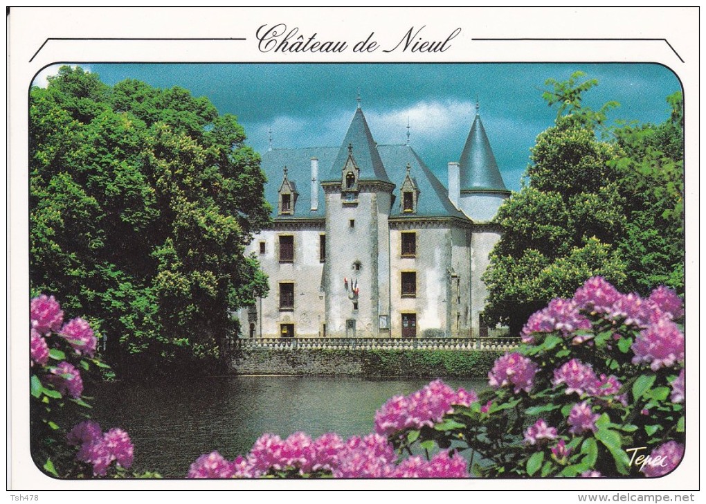 87---NIEUL---château---voir 2 Scans - Nieul