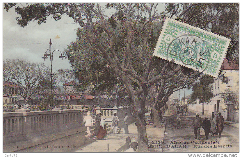 Afrique - Sénégal - AOF - Rue Des Esserts - Cachet 1916 - Editeur Fortier - Senegal
