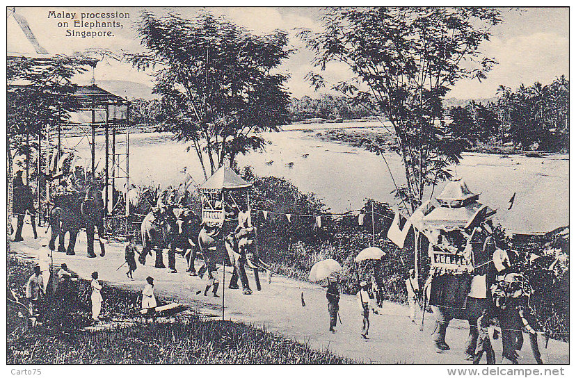 Asie - Singapour - Singapore - Malay Procession On Elephants - Singapur