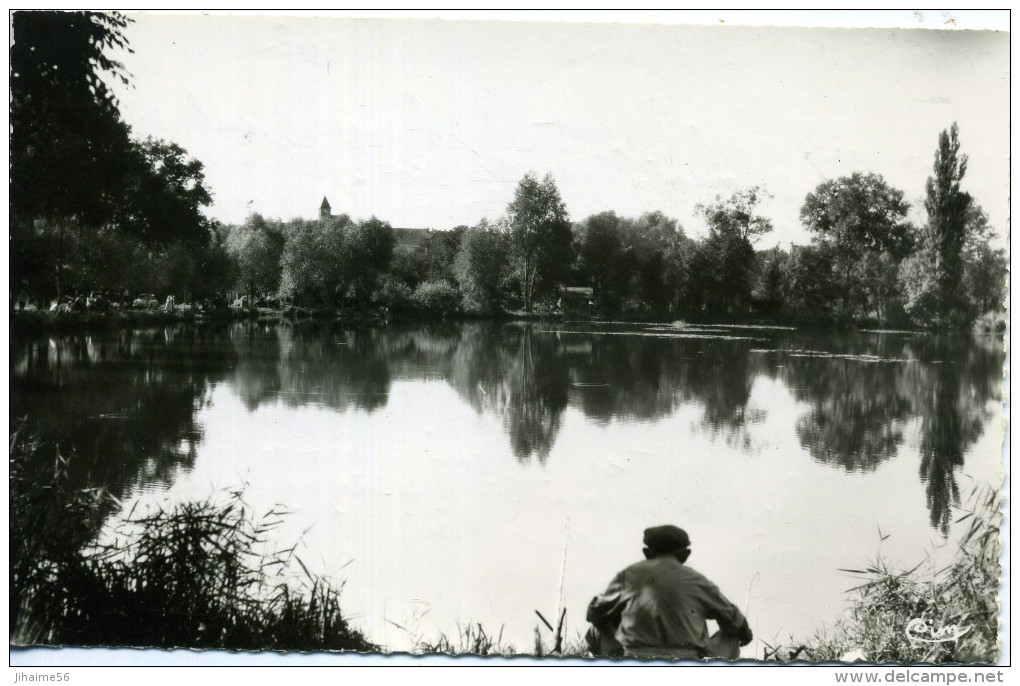 91 - Vert-le-Petit ; Les Marais. - Vert-le-Petit