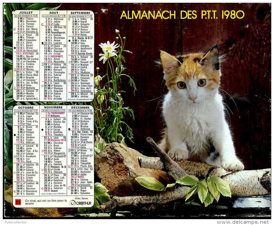 Calendrier Almanach Du Facteur 1980 (Finistère 29) - Grand Format : 1971-80