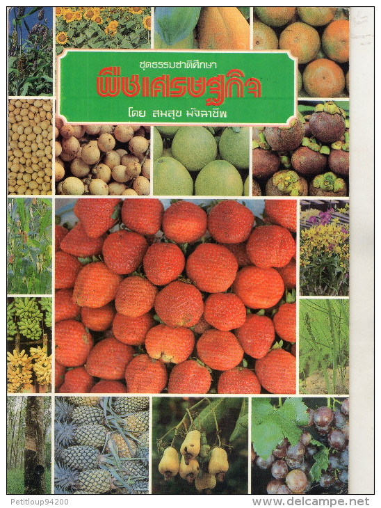 LIVRETS Fruits,Legumes Et Céréales D'ASIE  (lot De 3)   ANNEE 1977 - Practical