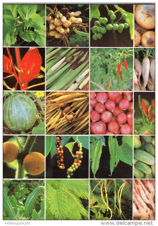 LIVRETS Fruits,Legumes et Céréales d'ASIE  (lot de 3)   ANNEE 1977