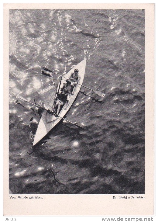 AK Vom Winde Getrieben - Ruderboot - 1954 (21745) - Rowing