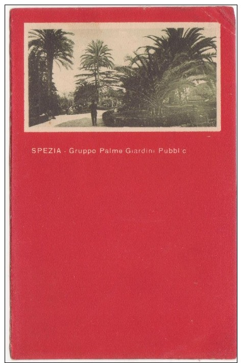 C104 - LA SPEZIA - SPEZIA - GRUPPO PALME GIARDINI PUBBLICI 1921 - La Spezia