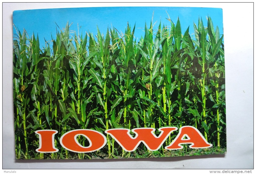 Iowa - The Tall Corn State - Autres & Non Classés