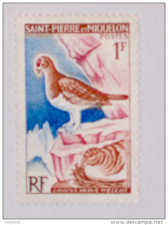 ST-PIERRE & MIQUELON  1963  LOT# 23  BIRD - Neufs