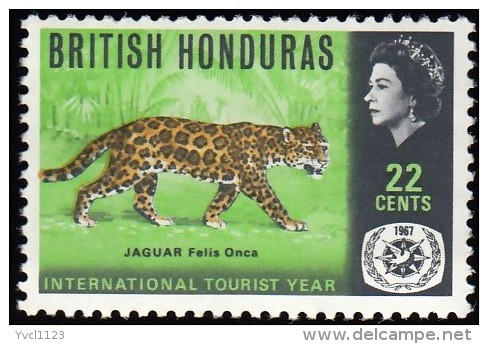 BRITISH HONDURAS - Scott #206 Jaguar / Mint NH Stamp - British Honduras (...-1970)