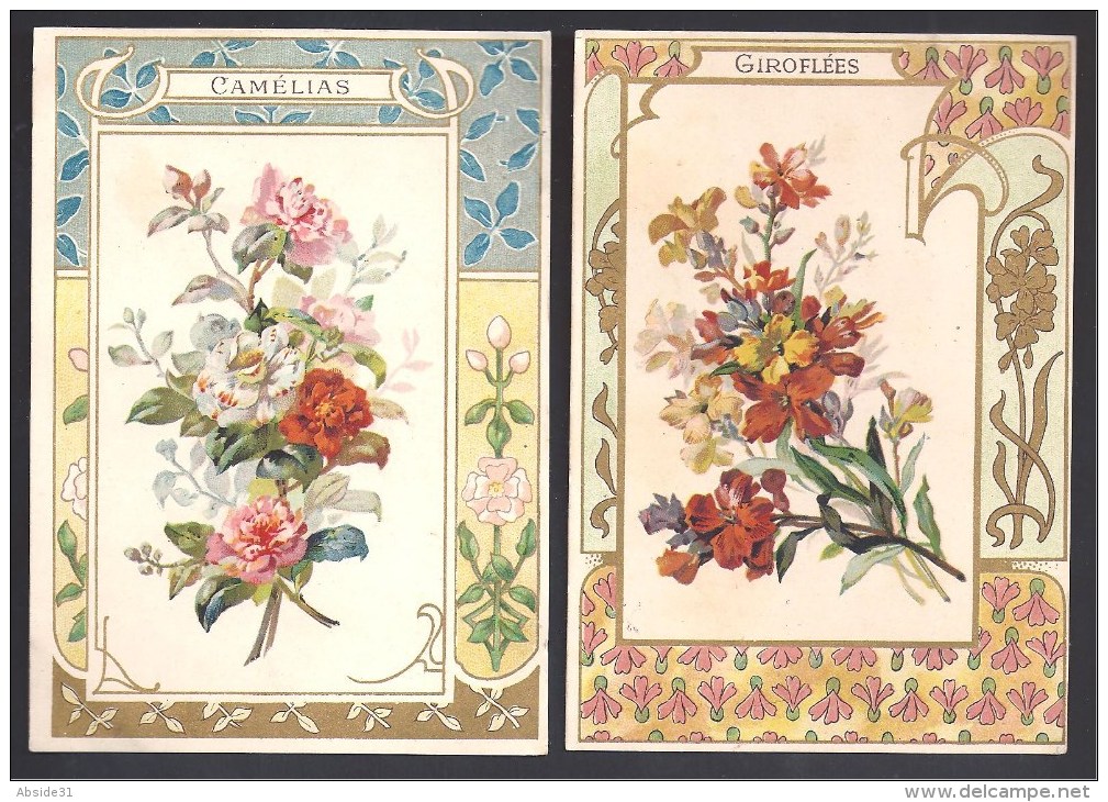 Lot De 2 Chromos Fleurs Encadrement Style Art Nouveau ( Format 135 X 93 Mm ) - Other & Unclassified