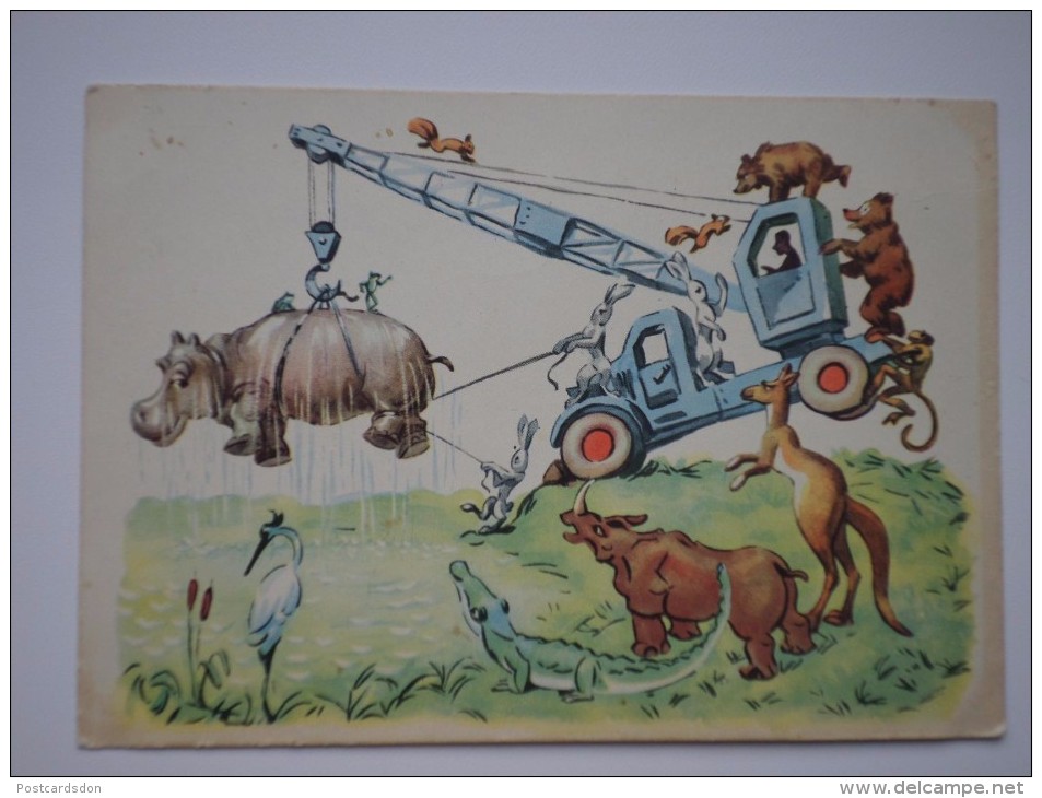 Doctor Dolittle - Rhino - Hippo - Bear -  - Old Soviet  PC - 1960 - Hippopotamuses