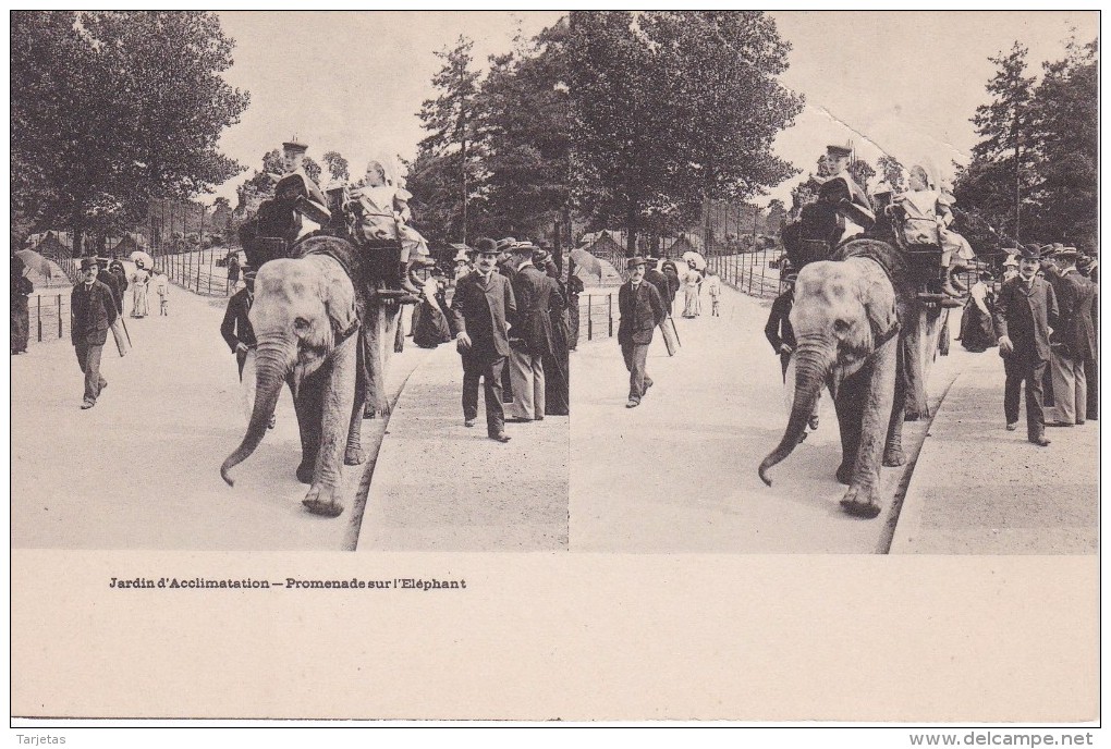 POSTAL DE JARDIN DE ACLIMATACION- PROMENADE SUR L'ELEPHANT (ELEFANTE-ELEPHANT) - Elefanti