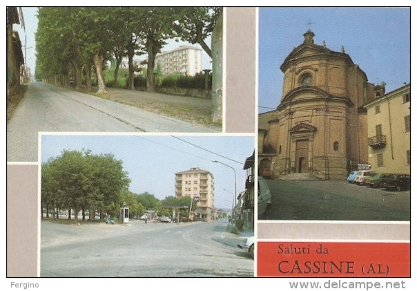 14/FG/16 - ALESSANDRIA - CASSINE - Saluti Da, Con Vedutine - Alessandria