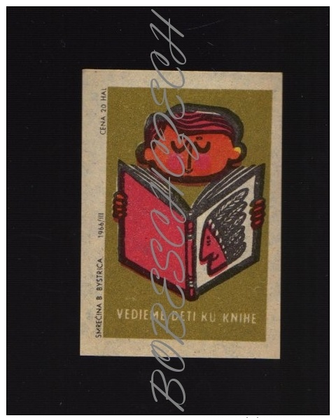 19-044 CZECHOSLOVAKIA 1966 Children's Book, Indian Livre Pour Enfants, Indien Libro Para Niños, Indio - Matchbox Labels