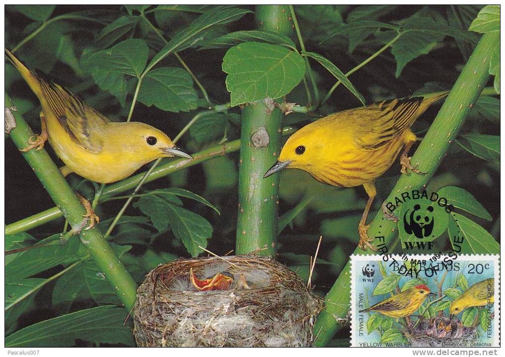 WWF - 107,32 - CM-MC - € 1,27 - 4-3-1991 - 20c - Yellow Warbler - Barbados 1110212 - Barbades (1966-...)
