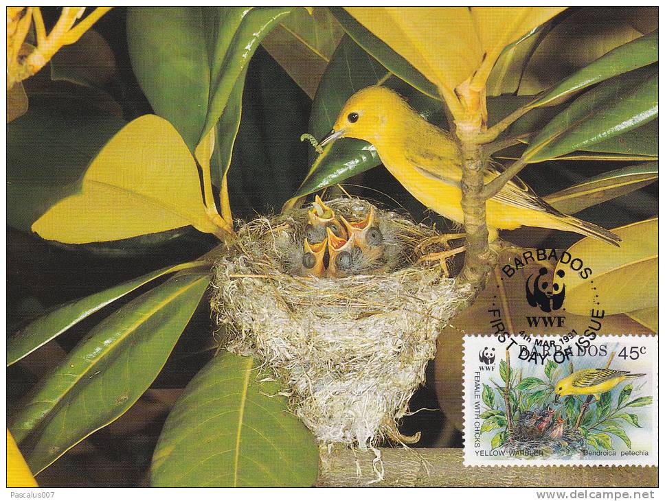 WWF - 107,33 - CM-MC - € 1,35 - 4-3-1991 - 45c - Yellow Warbler - Barbados 1110212 - Barbades (1966-...)