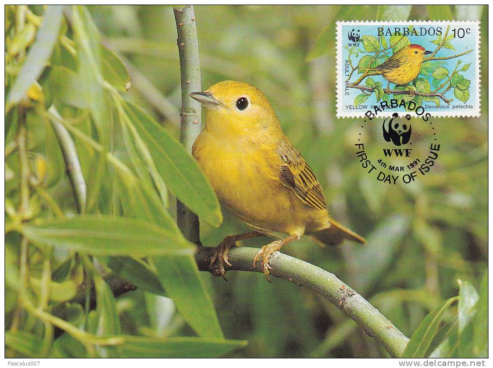 WWF - 107,31 - CM-MC - € 1,20 - 4-3-1991 - 10c - Yellow Warbler - Barbados 1110212 - Barbades (1966-...)