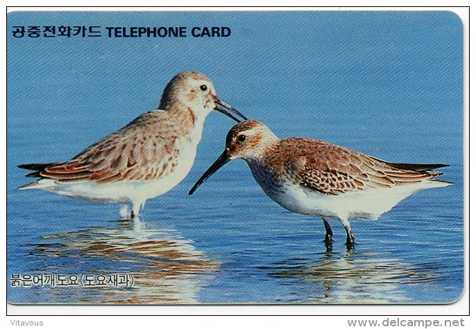 Oiseau Bird Vogel Télécarte Telefonkarten Phonecard  J 718 - Corée Du Sud