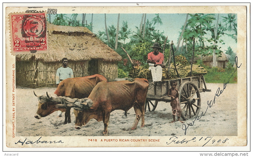 Puerto Rico A Puerto Rican Country Scene Ox Cart Used 1908 Maximum Card - Puerto Rico