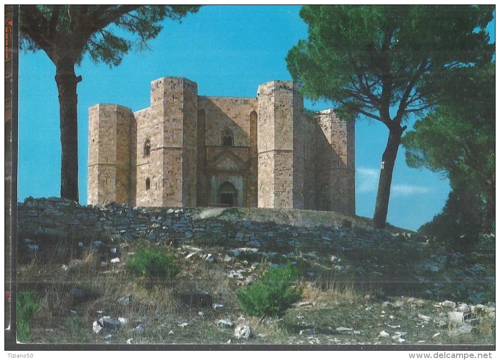 ADRIA CASTEL DEL MONTE, PANORAMA..VIAGGIATA .NO,1980-FG-C1831.T - Andria