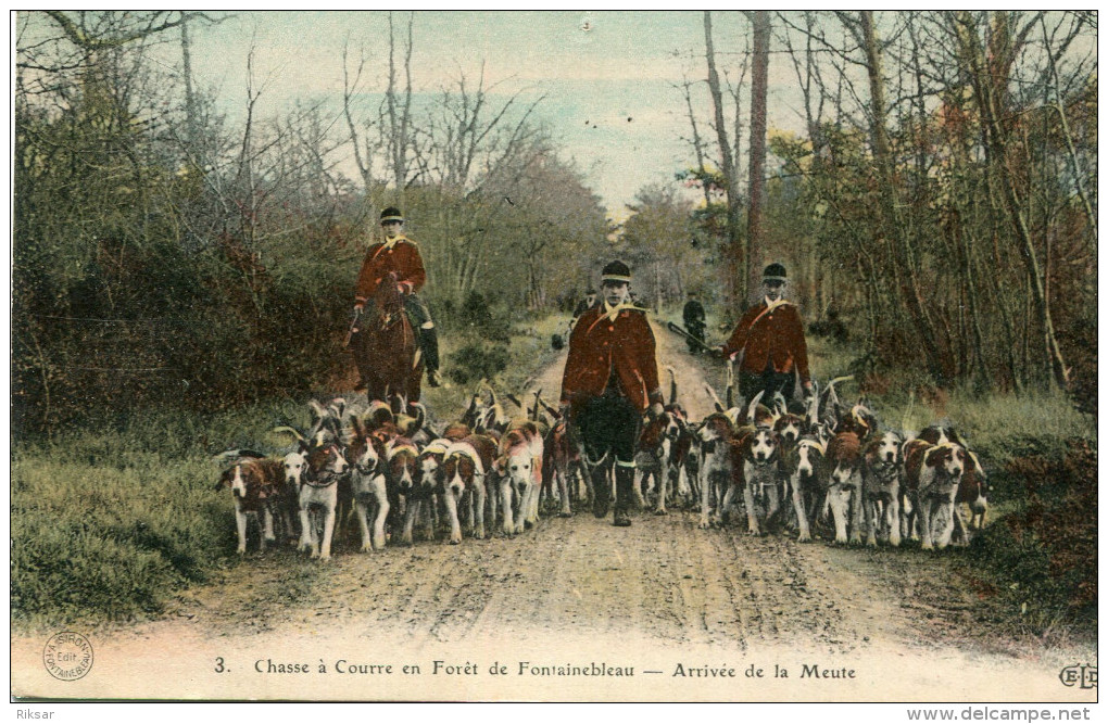 CHASSE A COURRE(VENERIE) FONTAINEBLEAU - Caccia