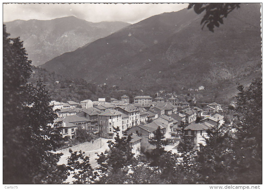 Roquebillière 06 - Vue Générale Nouveau Village - Edition Passeron Tabacs - Roquebilliere