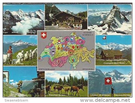 CH.- Eiger. Mönch. Jungfrau. Chalet. Paturage Du Jura. Champery Mont Ruan. Lanceur De Drapeau. - Schweiz. - Mon