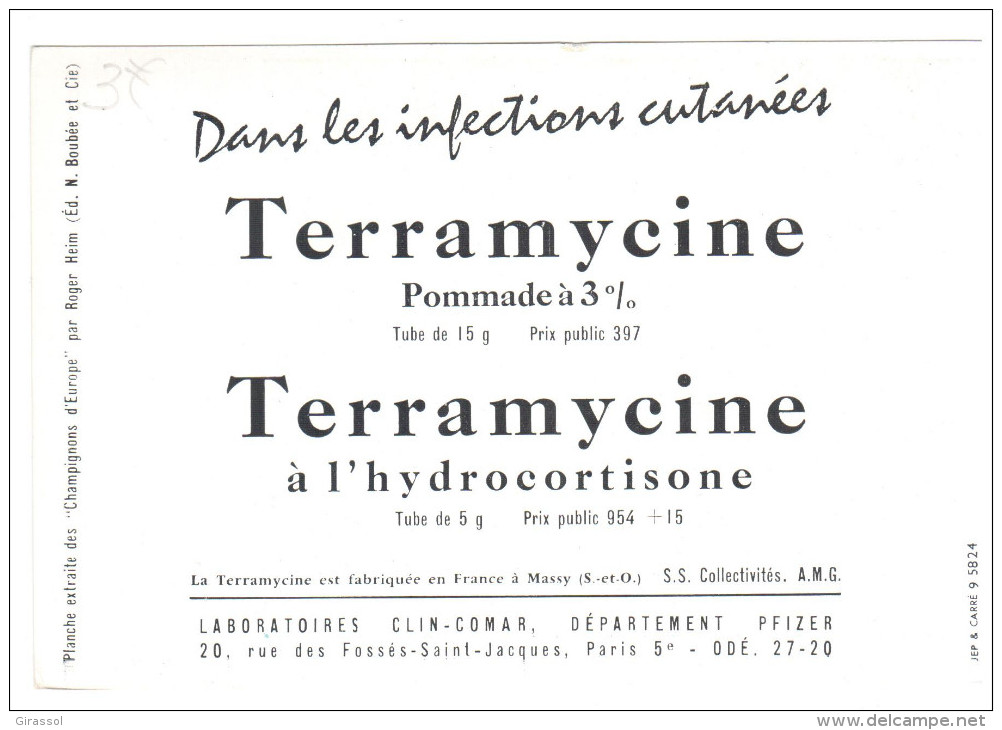 CPSM CHAMPIGNONS D EUROPE PEZIZE ACETABULE  PAR ROGER HEIM PUB TERRAMYCINE - Paddestoelen