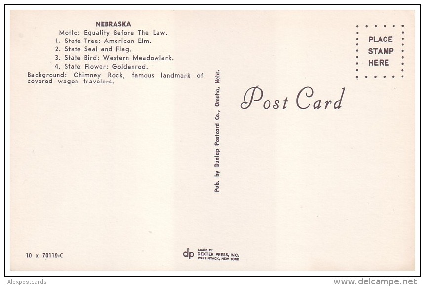 WESTERN MEADOWLARK - The State Bird Of Nebraska (Unused Postcard - USA, 1960´s) - Birds