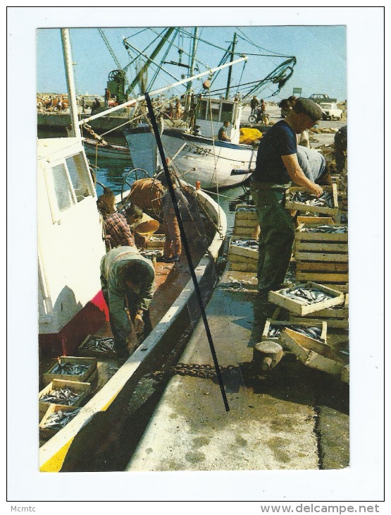 CPM -  Scène De Pêche En Méditerranée - Le Déchargement Des Sardines Au Retour De La Pêche - Bateaux - Pêcheurs - Pesca