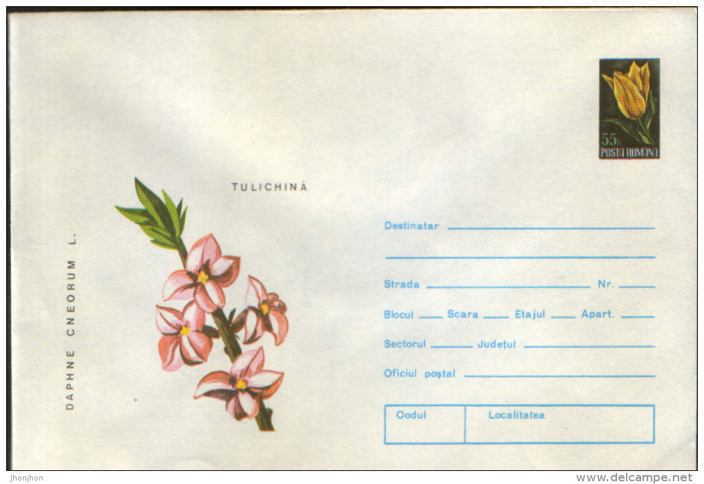 Romania - Postal Stationery Cover 1974,unused - Medicinal Plants -  Rose Daphne - Geneeskrachtige Planten