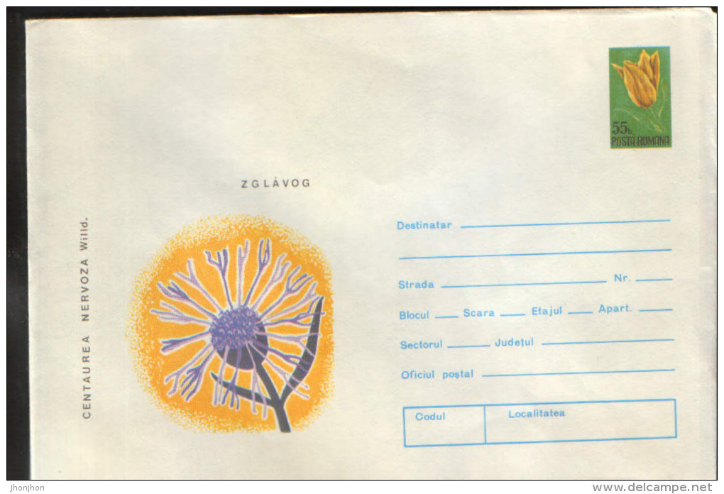 Romania - Postal Stationery Cover 1974,unused - Medicinal Plants -  Singleflower Knapweed - Geneeskrachtige Planten