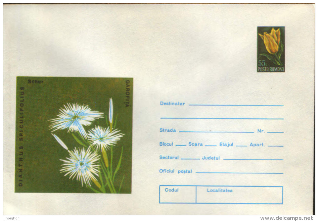 Romania - Postal Stationery Cover 1974,unused - Medicinal Plants -  Dianthus - Geneeskrachtige Planten