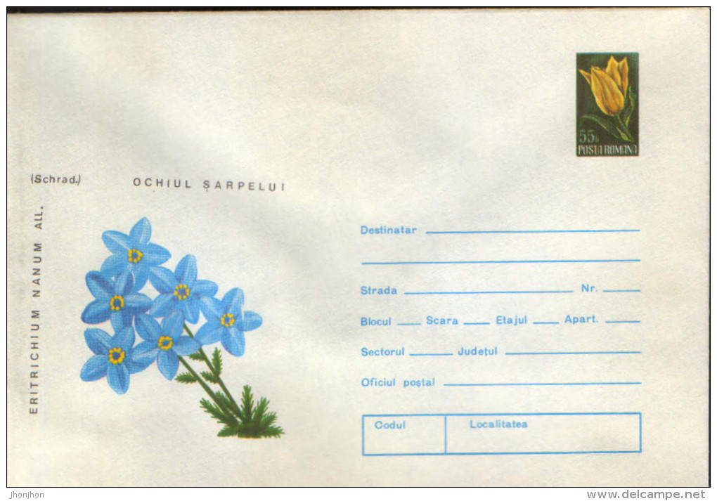 Romania - Postal Stationery Cover 1974,unused - Medicinal Plants - Snake Eyes - Geneeskrachtige Planten