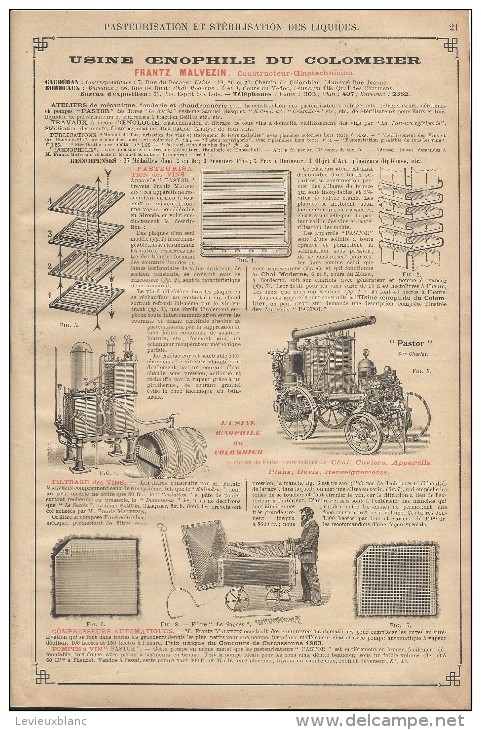 Oenophile Colombier/Caudéran/Bordeaux/Pasteurisation/Encart Publicitaire/Annuaire Didot-Bottin/1905     ILL43 - Alimentaire