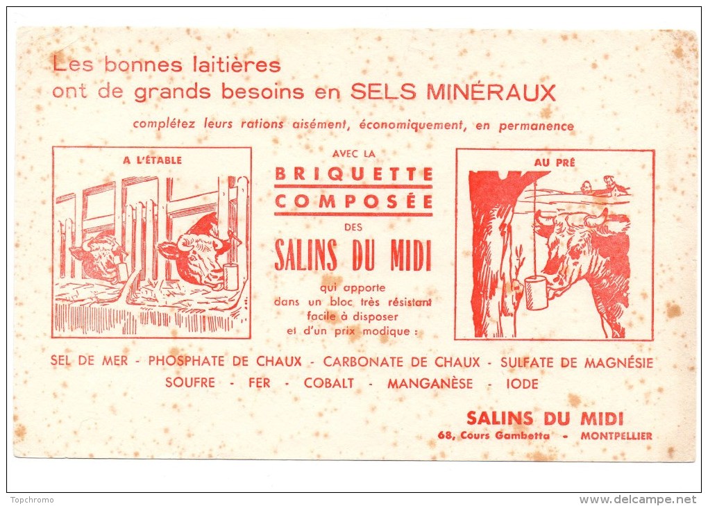 Buvard Briquette Salins Du Midi Montpellier Animaux Vaches à L'étable, Au Pré - Animaux