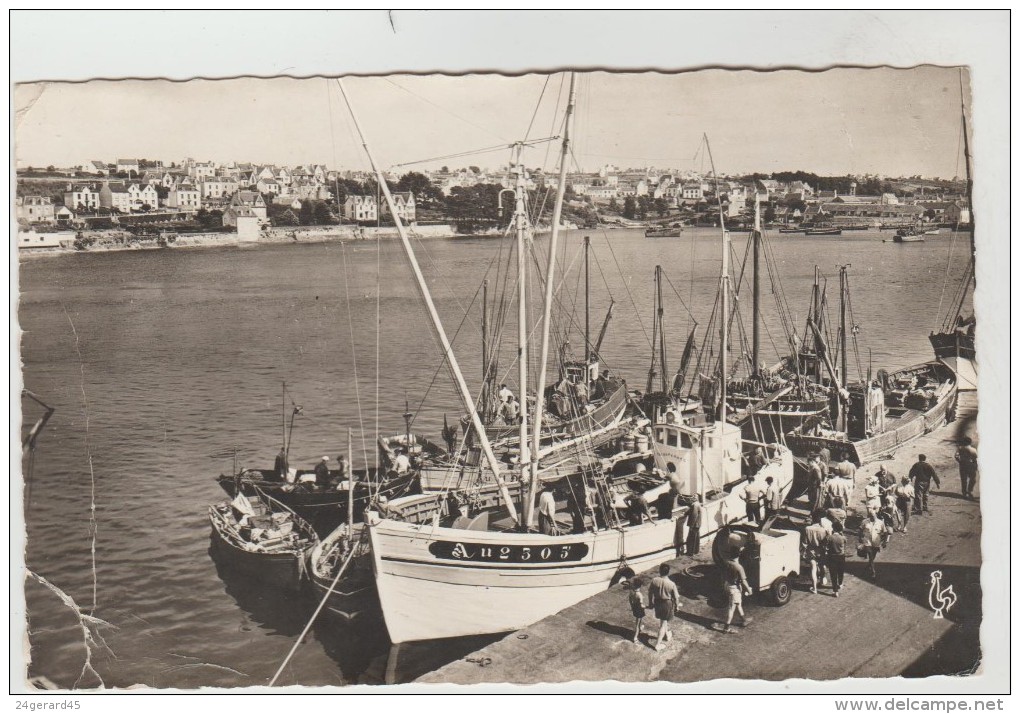 CPSM (+1) AUDIERNE (Finistère) - Le Port Au Fond Le Quai Jean Jaures - Audierne