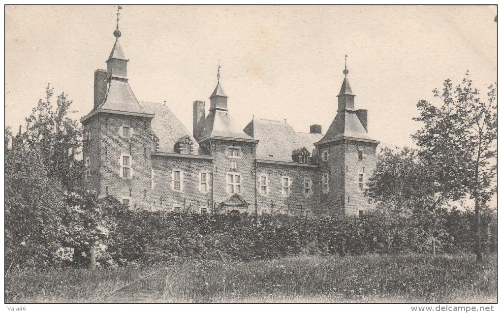 SOUMAGNE (Belgique - Province De Liège) - Château Du Bois De Micheroux - Soumagne