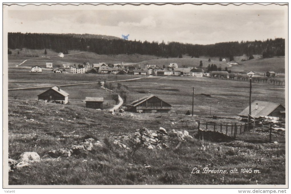 LA BREVINE  (Canton De Neuchâtel - Suisse) - Vue Générale - La Brévine