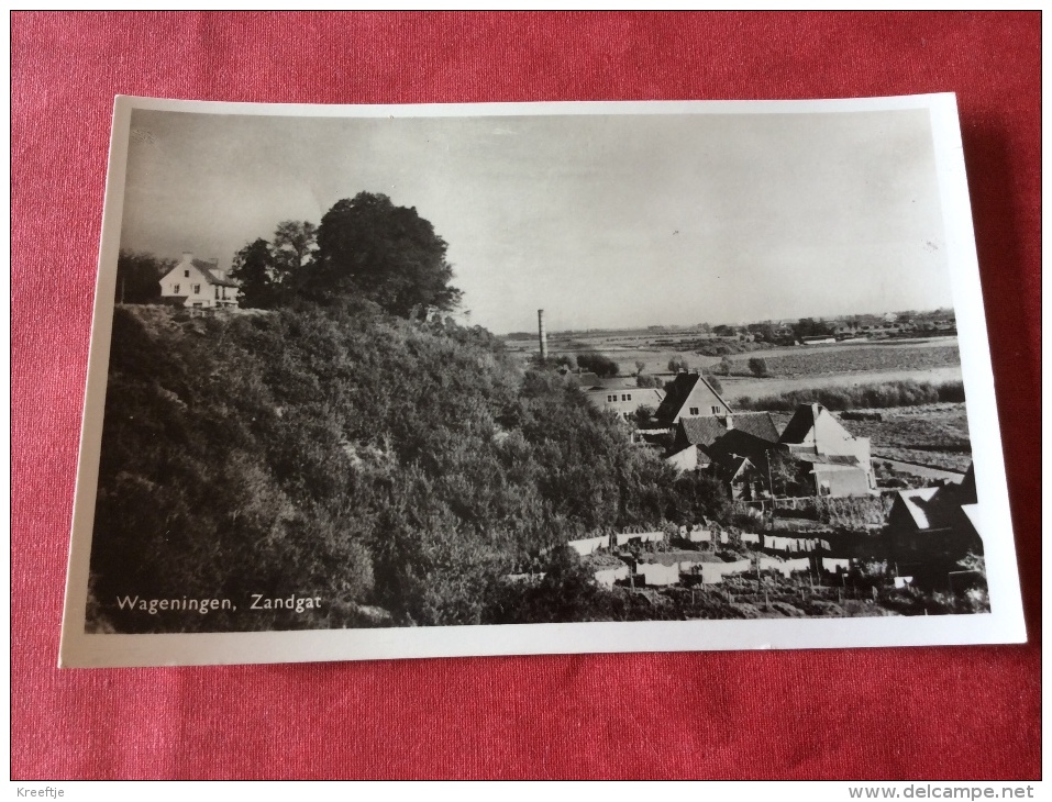 Nederland. Wageningen Zandgat 1951 - Wageningen