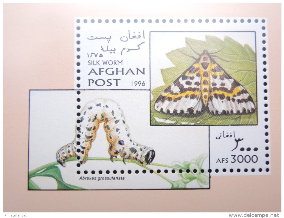 AFGHANISTAN - Bloc Luxe Avec Texte Explicatif - Belle Qualité - À Voir -  N° 11493 - Afghanistan