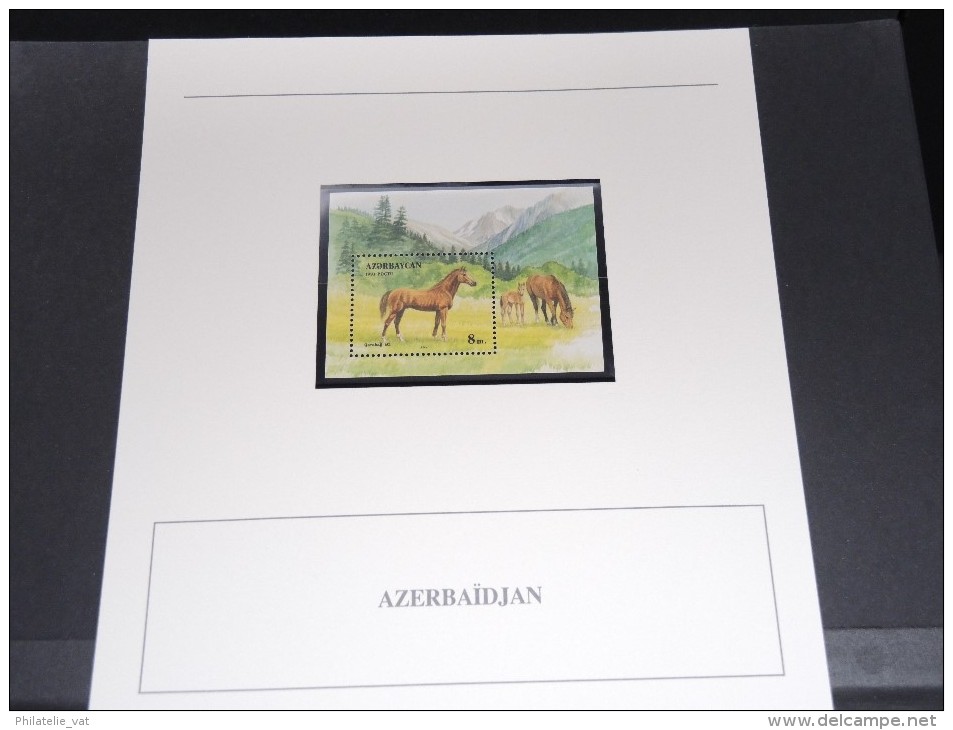 AZERBAIDJAN - Bloc Luxe Avec Texte Explicatif - Belle Qualité - À Voir -  N° 11496 - Azerbaïdjan