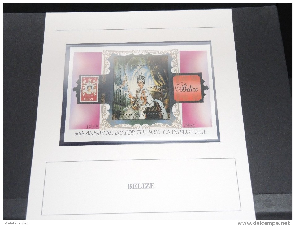BELIZE - Bloc Luxe Avec Texte Explicatif - Belle Qualité - À Voir -  N° 11507 - Belize (1973-...)